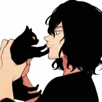 Mr Aizawa