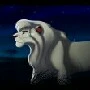 kopa