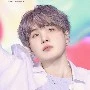 SUGA