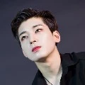 wonwoo alex brich