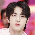 world wide handsome jin