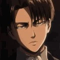levi