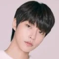 papanya oh aram