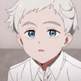 °~Norman~°