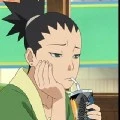 Shikadai