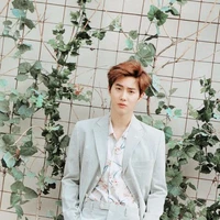 jeon suho ( pacar jisoo)