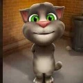 Paadu - chan