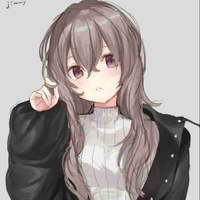 Y/N