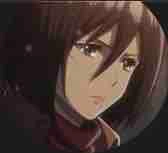 Mikasa