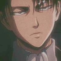 Levi 