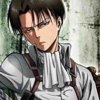Levi