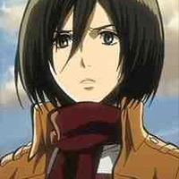 Mikasa 