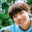 Hobi