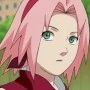 sakura((alfa))