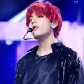 Taehyung (tae, tiger )