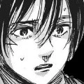 mikasa