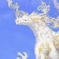 white dragon