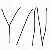 Y/N