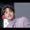 lucas