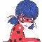 Ladybug