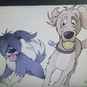 Sausage and Burnt-Stake ( DOGS  )