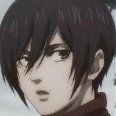 mikassa chan