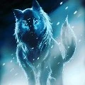 lobo/Pietro