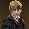 Ron [ Gryffindor ]