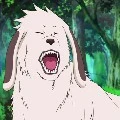 akamaru(de kiba)