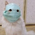 แอดเอง":)