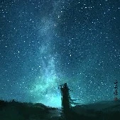 เป็นทุกอย่าง