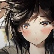 Y/N