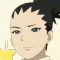 shikadai