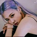 rose manoban