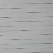 siapa saja