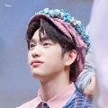 Jin Young