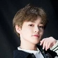 Lee chenle chortly (anak7)