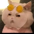 aktor