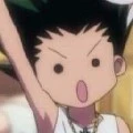 gon