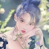 Kayla Qiu