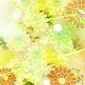 Shoyo