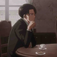 levi