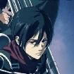 mikasa