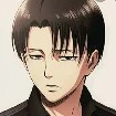 levi