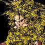 Gokunks ssj9