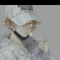 author:v