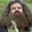 Hagrid