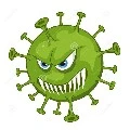 Corona Virus