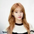 Lee Ginna