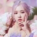 PARK CHAEYOUNG (ROSE)